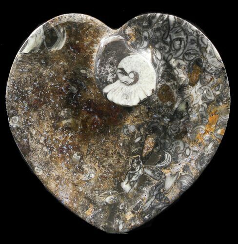 Heart Shaped Fossil Goniatite Dish #39346